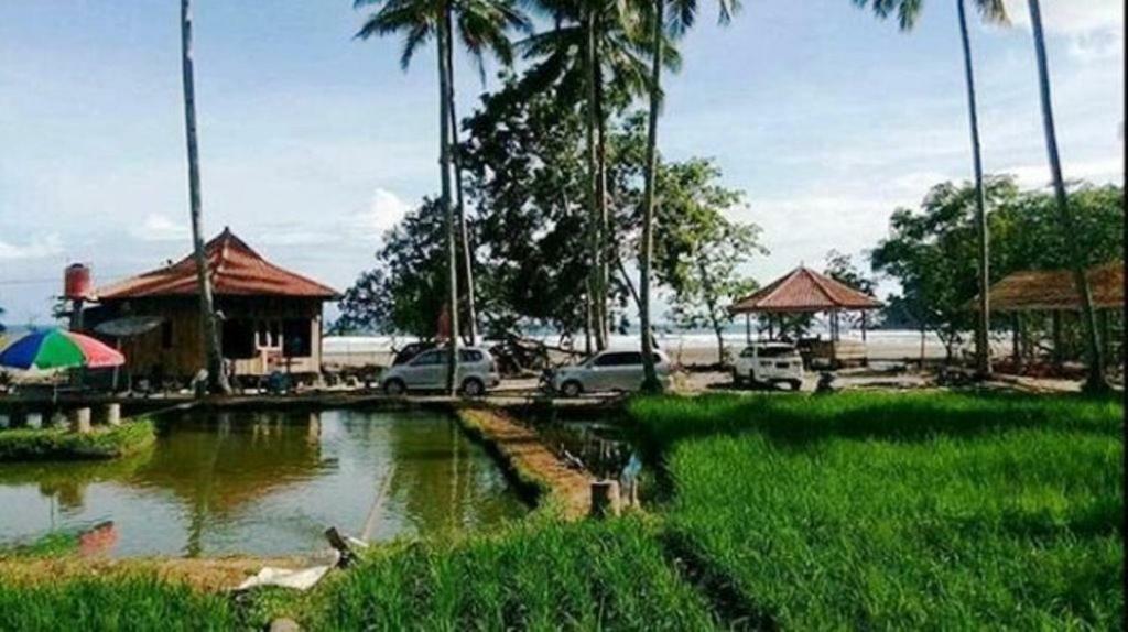 Revive Lampung Krui King Resort Extérieur photo